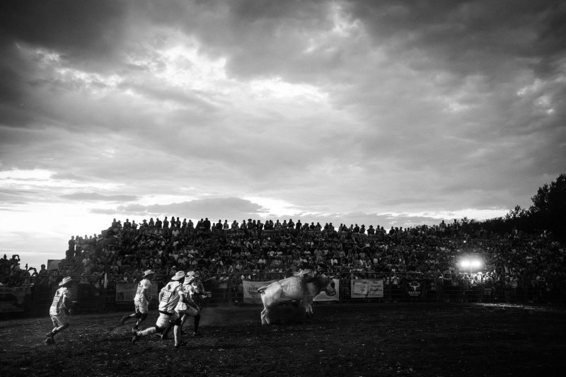 Antilopok Hatvanpuszt&aacute;n, magyar rode&oacute; &eacute;s kil&oacute;nyi lecs&oacute;t cipelő serpa &ndash; v&aacute;logat&aacute;s fot&oacute;riportereink d&iacute;jazott k&eacute;peiből