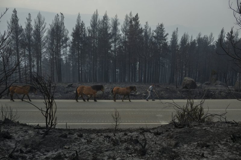 Az &eacute;v legjobb sajt&oacute;fot&oacute;in l&aacute;ngokban &aacute;ll a vil&aacute;g, de a pand&aacute;k legal&aacute;bb m&eacute;g megvannak
