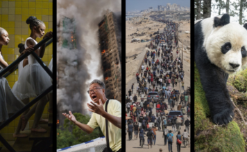 Az év legjobb sajtófotóin lángokban áll a világ, de a pandák legalább még megvannak