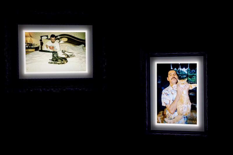 "Az eg&eacute;sz orsz&aacute;g &eacute;rezte akkor, hogy valami megv&aacute;ltozik" &ndash; Freddie Mercury bar&aacute;taival besz&eacute;lgett&uuml;nk