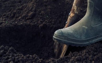 Csákánnyal estek neki a Barátság vezeték kábelének, súlyosabb büntetés vár rájuk