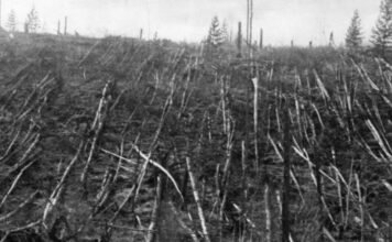 Csoda, hogy nem haltak meg százezrek az 1908-as robbanásban, ami ezerszer erősebb volt, mint Hirosima