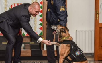 Cukiságbombát közölt a Rendőrség, miután nyugdíjazott egy kábítószer-kereső kutyát