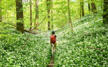 Élvezze ki a szombati napsütéses időt, mert jön a hidegfront