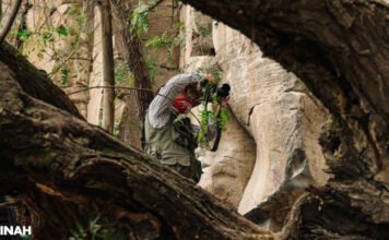 Eltűnt nép sziklarajzait fedezték fel