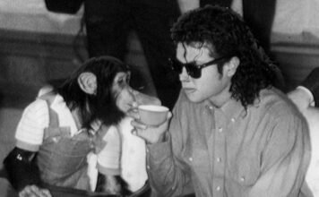 Emlékszik Michael Jackson házi csimpánzára? Kiderült, mi lett a sorsa