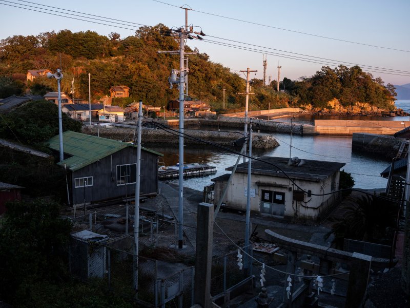 Ezen a szigeten több macska él, mint ember