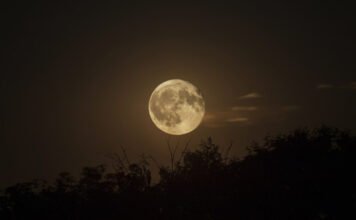 Hold kvíz: mennyire ismered az égi kísérőnket?