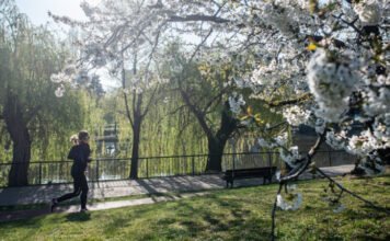 Így készülj fel az első félmaratonodra: szakértői tippek kezdőknek
