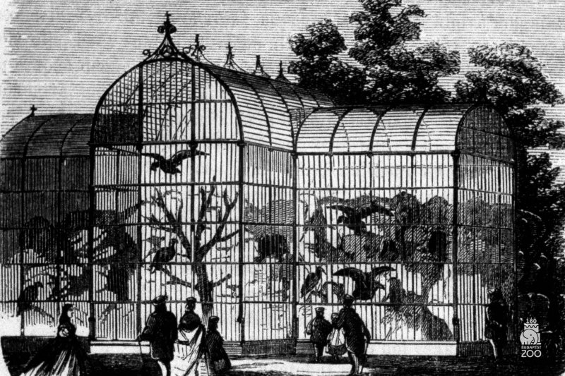 &Iacute;gy n&eacute;zett ki megnyit&aacute;sakor a 160 &eacute;ves Főv&aacute;rosi &Aacute;llatkert