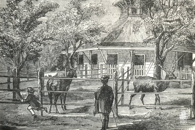 &Iacute;gy n&eacute;zett ki megnyit&aacute;sakor a 160 &eacute;ves Főv&aacute;rosi &Aacute;llatkert