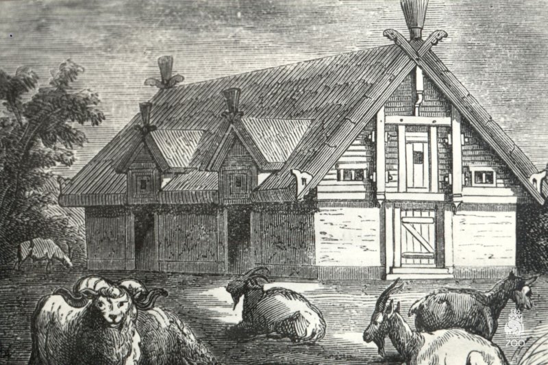 &Iacute;gy n&eacute;zett ki megnyit&aacute;sakor a 160 &eacute;ves Főv&aacute;rosi &Aacute;llatkert