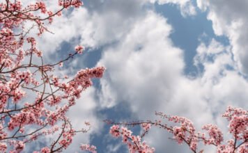 Lehűlés jön a napsütéses hétvége után