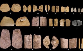 Már a pénz feltalálása előtt is szerencsejátékoztak az emberek