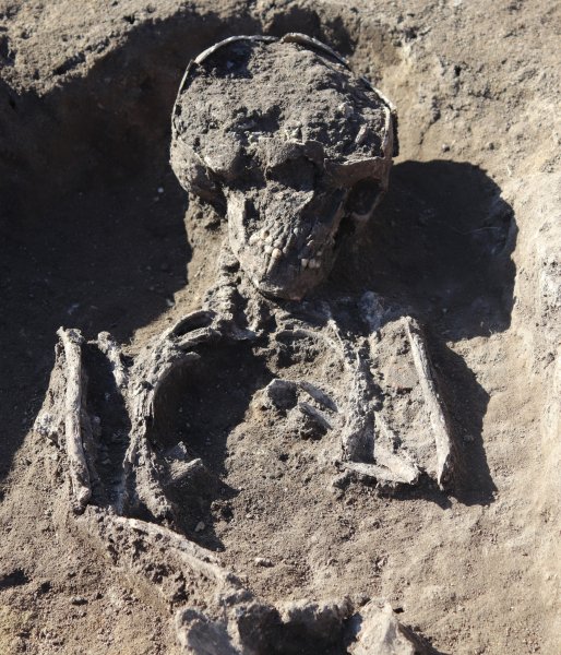 &Oacute;kori r&oacute;mai temetőt fedeztek fel Maroskereszt&uacute;ron