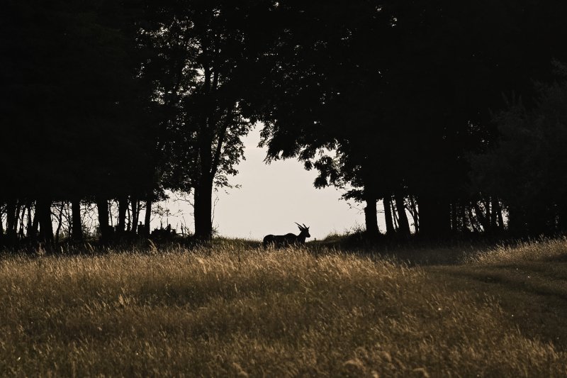 T&iacute;z d&iacute;jat nyertek a 24.hu fot&oacute;riporterei a Magyar Sajt&oacute;fot&oacute; P&aacute;ly&aacute;zaton