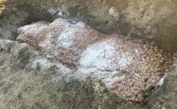 Záptojásszag fojtogat egy somogyi községet, a helyi tojásfeldolgozó cég tagadja a felelősségét