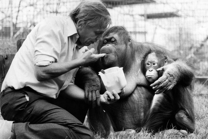 100 &eacute;ves a term&eacute;szet hangja &ndash; k&eacute;peken David Attenborough legend&aacute;s p&aacute;lyafut&aacute;sa