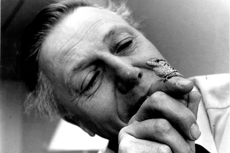 100 &eacute;ves a term&eacute;szet hangja &ndash; k&eacute;peken David Attenborough legend&aacute;s p&aacute;lyafut&aacute;sa