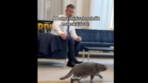 A NATO-főtitkárral tárgyalt Magyar Péter, nem küldünk fegyvereket az orosz-ukrán háborúba