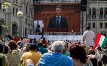 A tiszás népünnepély arca lett – most elmondta, miért örül a hirtelen népszerűségnek a Mi vagyunk a Grundot fordító jelnyelvi tolmács