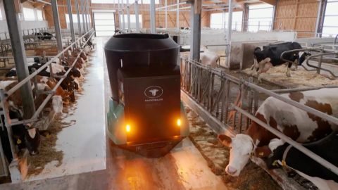 "Gajdics akkor csin&aacute;lta volna j&oacute;l, ha el&eacute;nekli ő is" &ndash; bemutatjuk Mronkot, a Gajdics-tang&oacute; alkot&oacute;j&aacute;t