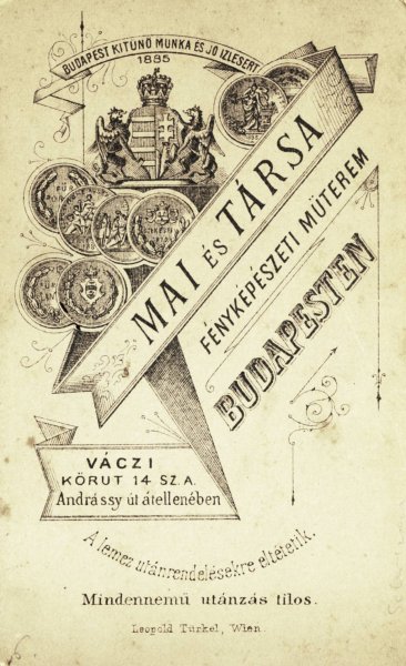 Horthy, Lenin, Roosevelt, November 7. &ndash; ideol&oacute;giai csat&aacute;roz&aacute;sok a budapesti utcan&eacute;vt&aacute;bl&aacute;kon