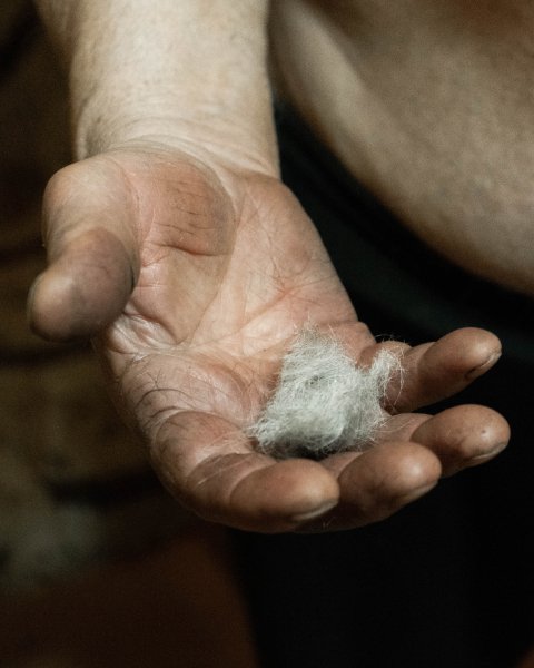 Horv&aacute;th J&uacute;li&aacute;t, a 24.hu munkat&aacute;rs&aacute;t is a P&eacute;csi J&oacute;zsef fot&oacute;műv&eacute;szeti &ouml;szt&ouml;nd&iacute;jasok k&ouml;z&eacute; v&aacute;lasztott&aacute;k