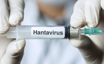 Mit kell tudni a hantavírusról, amelybe már hárman belehaltak egy tengerjáró hajó utasai közül?
