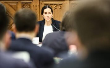 Orbán Anita a külügyi bizottságban: Nem leszünk többé bot a küllők között