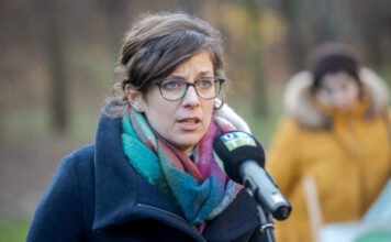 Utolsó pillanatban vétóztak meg egy momentumost, aki oktatási államtitkár lehetett volna