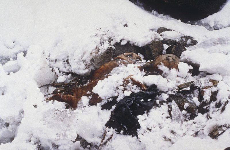 Meglepő dologra bukkantak &Ouml;tzi, az 5000 &eacute;ves j&eacute;gm&uacute;mia vizsg&aacute;lata sor&aacute;n