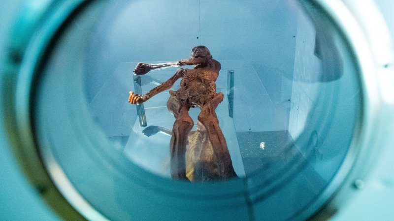 Meglepő dologra bukkantak &Ouml;tzi, az 5000 &eacute;ves j&eacute;gm&uacute;mia vizsg&aacute;lata sor&aacute;n