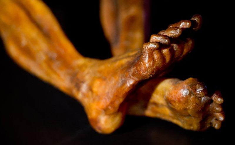 Meglepő dologra bukkantak &Ouml;tzi, az 5000 &eacute;ves j&eacute;gm&uacute;mia vizsg&aacute;lata sor&aacute;n