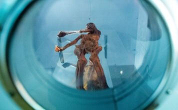 Meglepő dologra bukkantak Ötzi, az 5000 éves jégmúmia vizsgálata során